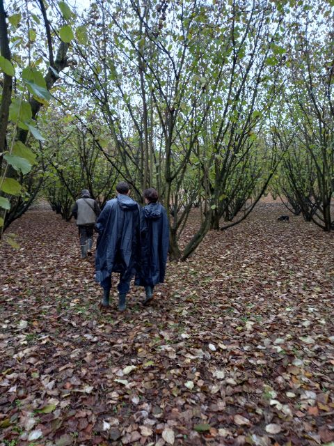 Langhe: Truffle Hunting Experience - Should you book? My practical call