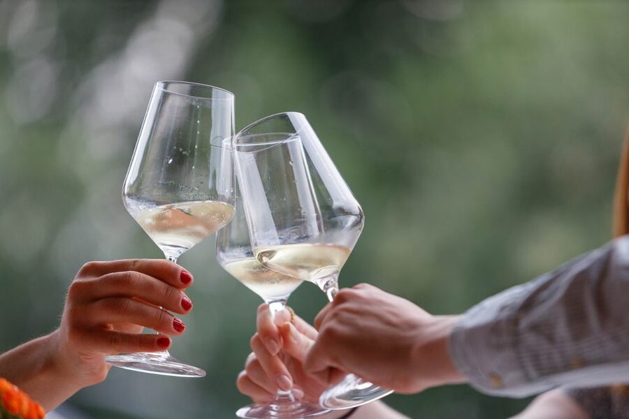 Lazise: Winery Tour with Garda Wines and Food Tasting - Key highlights at a glance