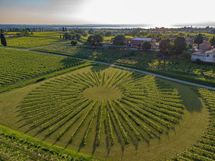 Lazise: Winery Tour with Garda Wines and Food Tasting - Price and Value: Is $49 a Good Deal Here?