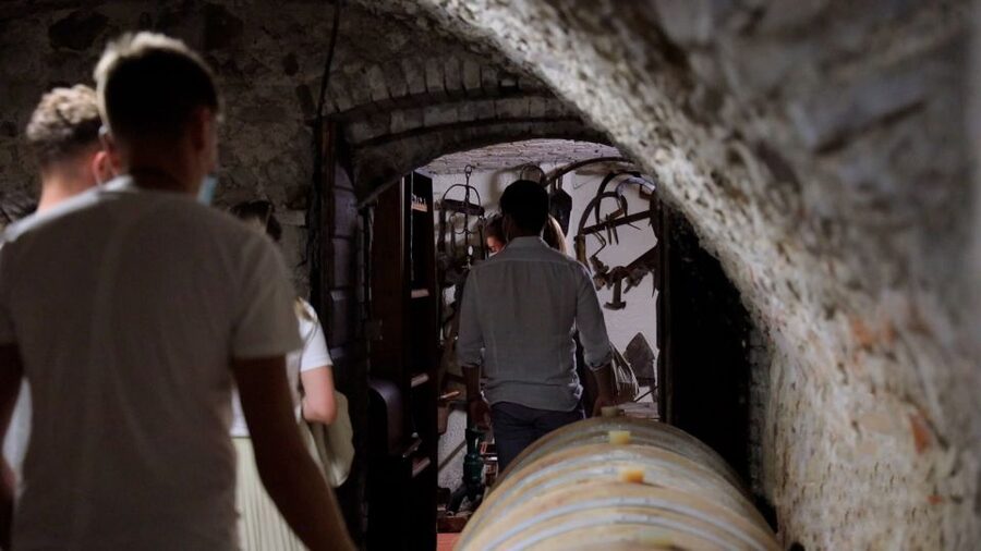Lazise: Winery Tour with Garda Wines and Food Tasting - Who Should Book This Lazise Wine and Food Tour?
