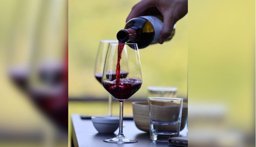 Lucca: Guided Winery Tour with Wine Tasting - The main event on the terrace: wine tasting plus olive oil