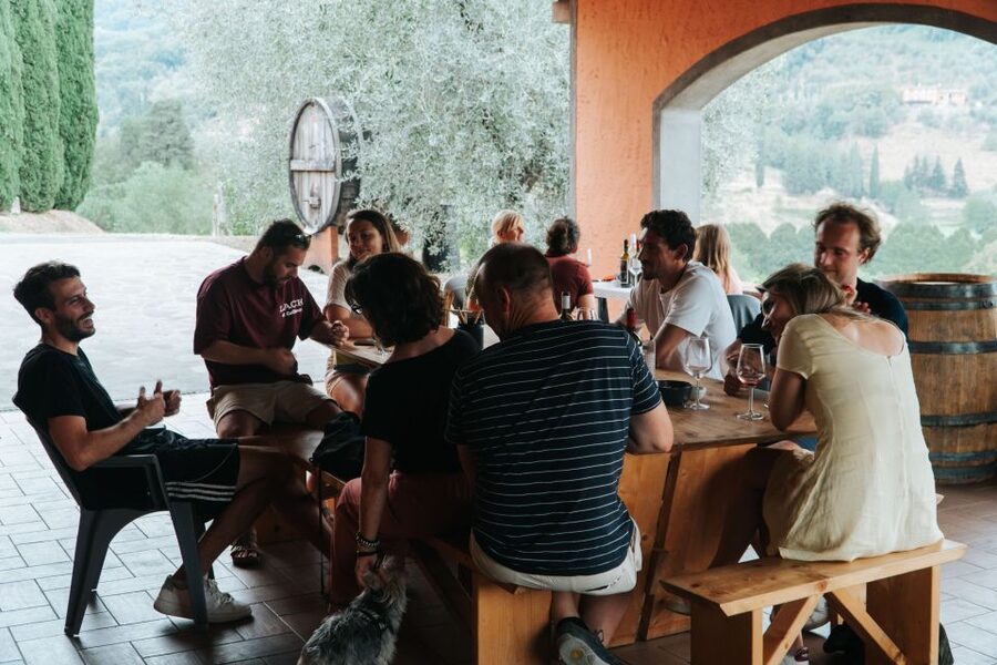Lucca: Guided Winery Tour with Wine Tasting - Cellar time: your 15 to 20 minute start that pays off