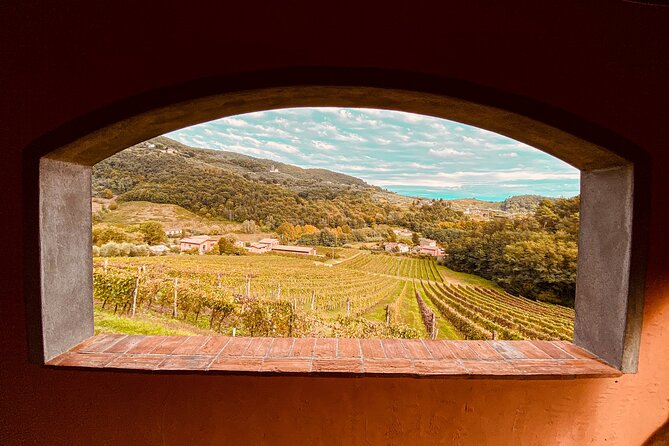 Lucca: Wine Tasting Experience - Tenuta Adamo Winery - Key highlights you’ll actually care about