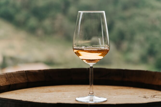 Lucca: Wine Tasting Experience - Tenuta Adamo Winery - Private booking vs. shared time: what it feels like in practice
