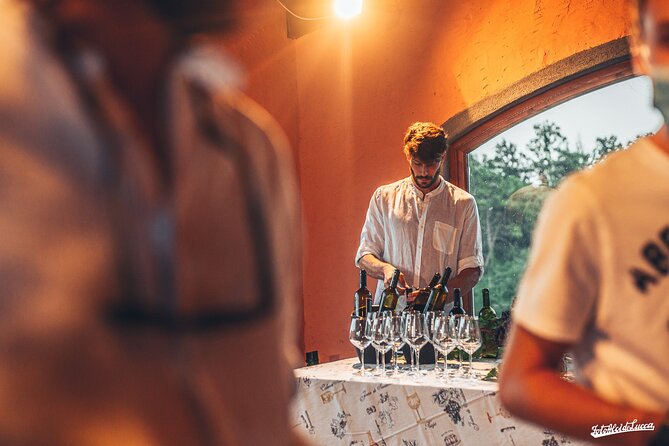 Lucca: Wine Tasting Experience - Tenuta Adamo Winery - Meet your guides: Antonio, Lisa, and the flow of explanations