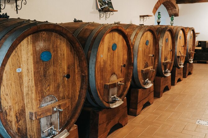 Lucca: Wine Tasting Experience - Tenuta Adamo Winery - Weather, sound, and comfort tips that improve your afternoon