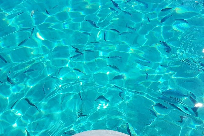 Luxury catamaran from Porto Rafael-Palau to the Maddalena Archipelago - Porto della Madonna: a natural swimming pool feel