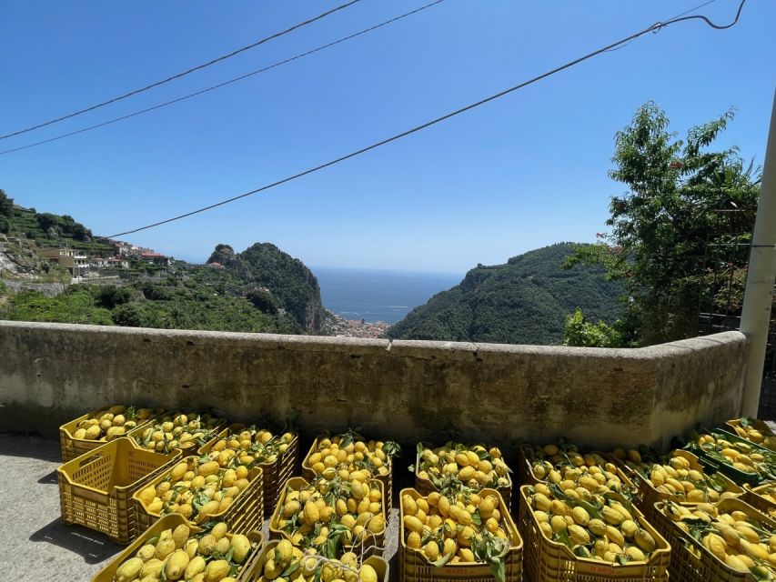 Maiori: Amalfi Coast Path of Lemons Day Trip with Tastings - Price and value: is $59 plus a €15 farm fee fair?