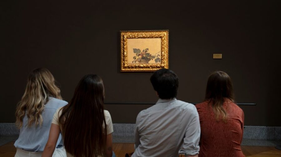 Milan: Pinacoteca Ambrosiana and San Sepolcro Crypt Ticket - Pinacoteca Ambrosiana, a smarter art stop than the usual Milan route