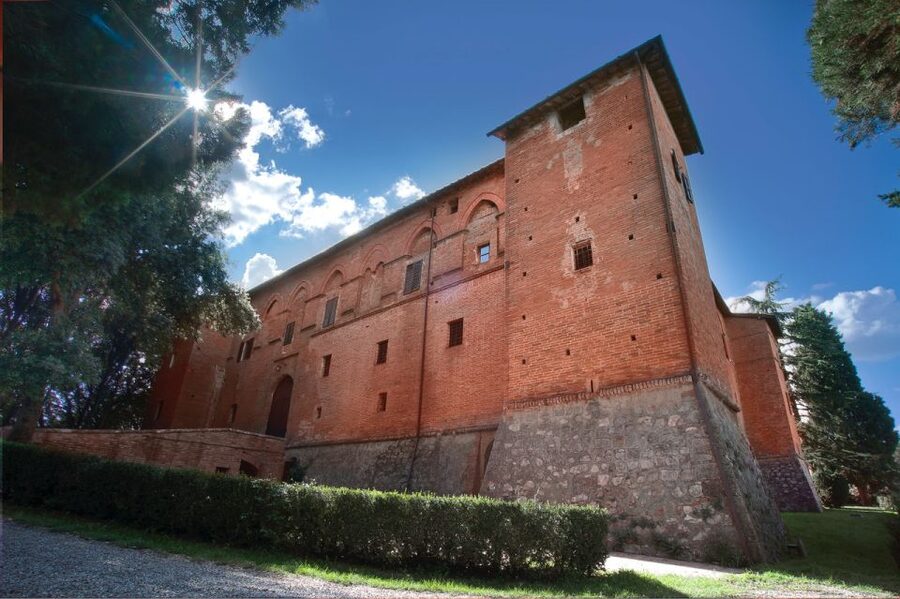 Montalcino: Brunello Wine Tasting & Lunch in a Tuscan Castle - Vineyard walk with a professional sommelier, not a lecture hall