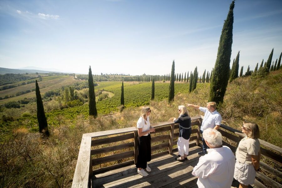 Montalcino: Guided Winery Tour and Wine Tasting - Key Highlights You’ll Notice Fast
