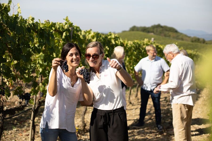 Montalcino: Guided Winery Tour and Wine Tasting - Where Corte Pavone Winery Fits in Montalcino’s Wine Story