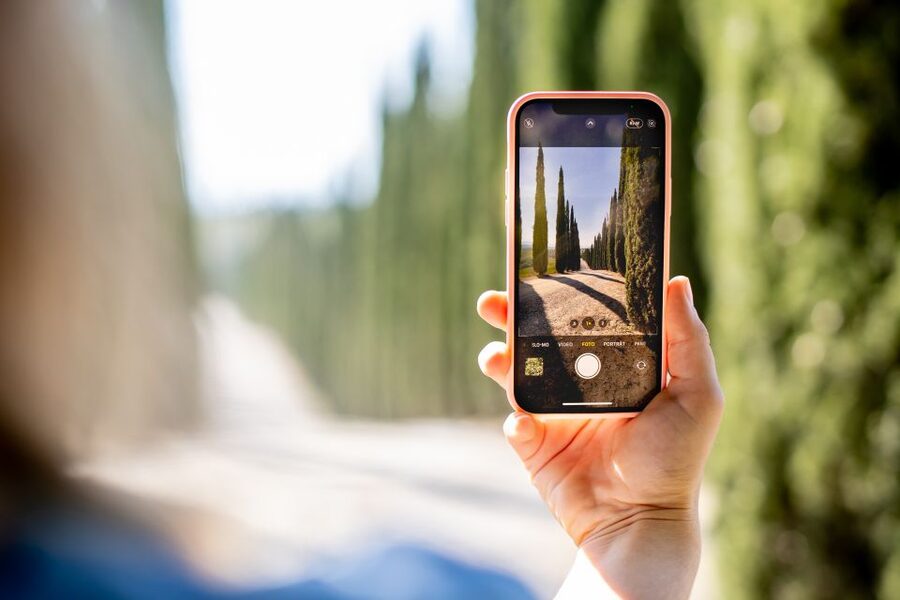 Montalcino: Guided Winery Tour and Wine Tasting - Should You Book This Montalcino Wine Tour?