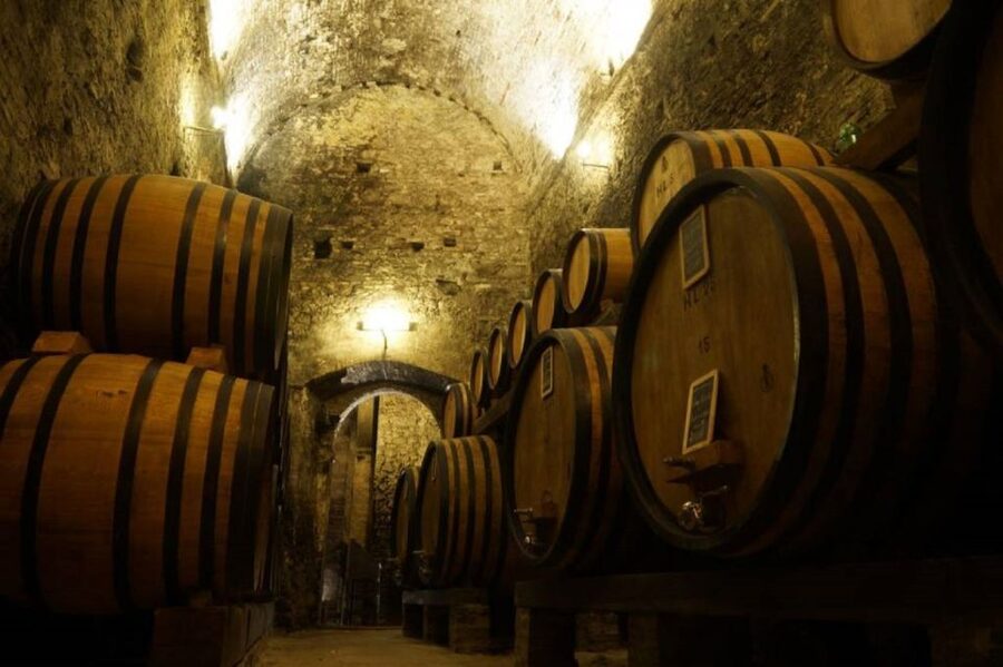 Montepulciano: Wine Tasting and Cellar Tour - Why this Montepulciano cellar tour is such good value