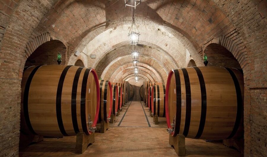 Montepulciano: Wine Tasting & Lunch in a Typical Winery - Key highlights worth booking