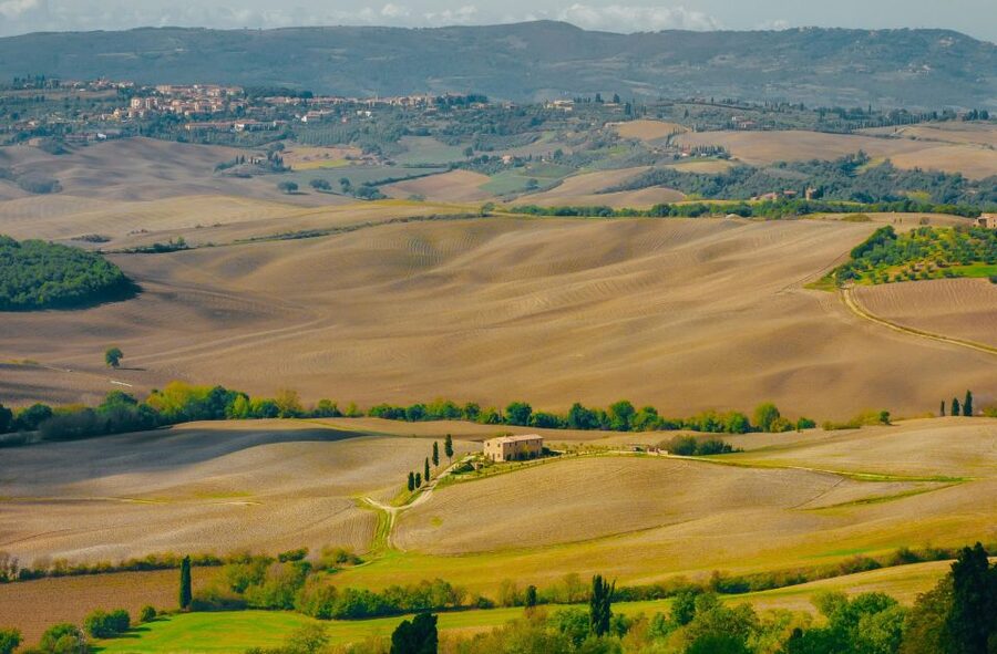 Montepulciano: Wine Tasting & Lunch in a Typical Winery - Talosa Cantina Storica, where the cellar dates back to the 1300s