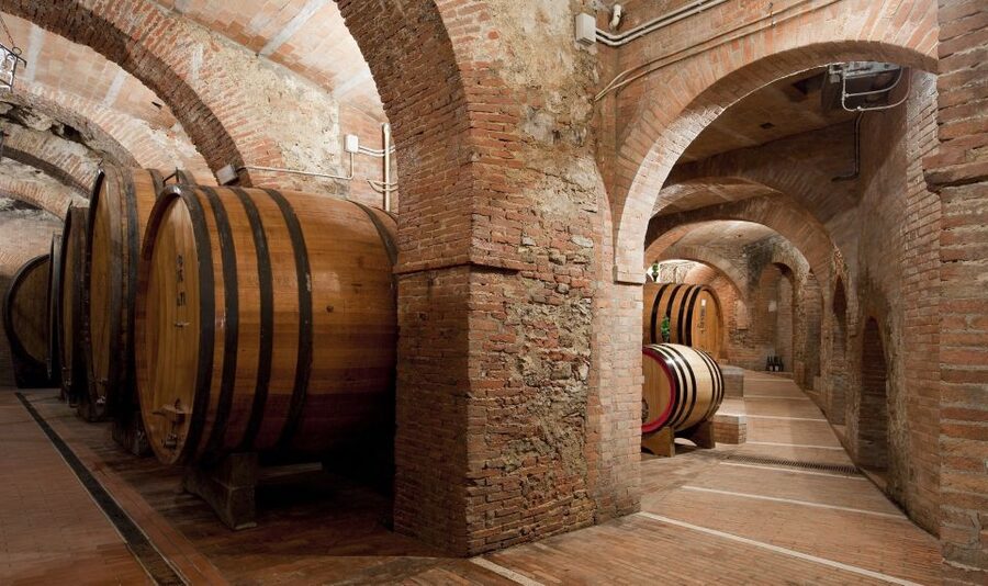 Montepulciano: Wine Tasting & Lunch in a Typical Winery - Should you book Montepulciano wine tasting and lunch in an ancient cellar?