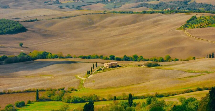 Montepulciano: Wine Tasting & Lunch in a Typical Winery - The 1.5-hour tasting, four wines and a sommelier-led pace