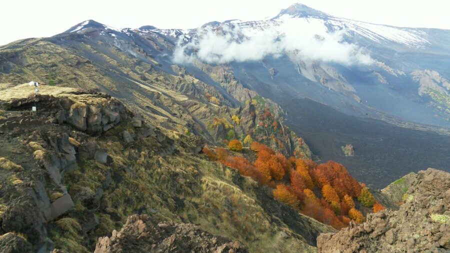 Mount Etna: Half-Day Guided Tour and Hike - Zafferana Etnea break: downtime and typical Sicilian tastes
