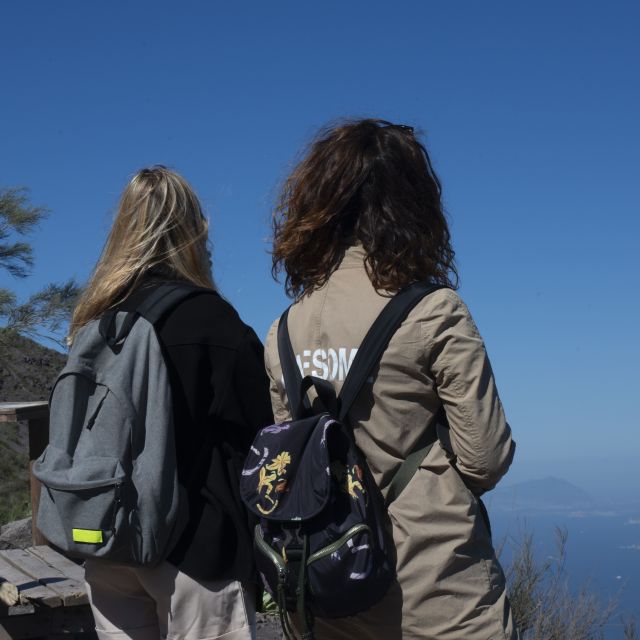Mount Vesuvius: Skip-the-Line Ticket and Smart Digital Guide - The timed ticket window: plan your arrival like a pro