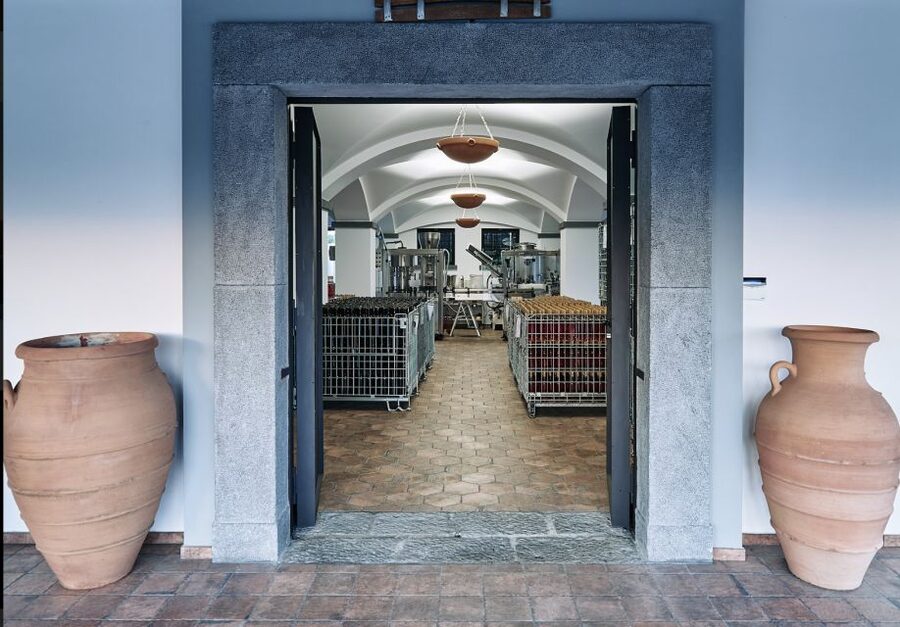 Mount Vesuvius: Vineyard Tour with Wine Tasting and Lunch - FAQ