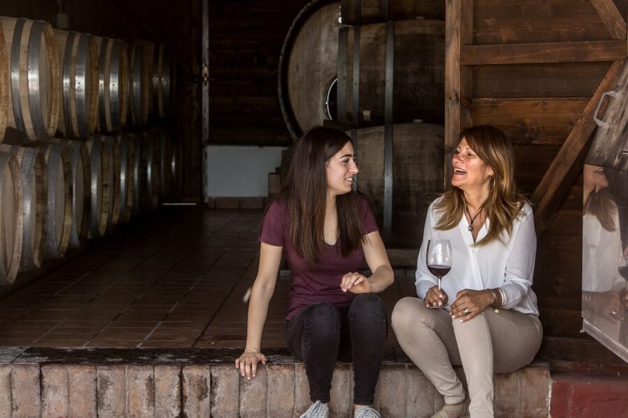 Mount Vesuvius: Vineyard Tour with Wine Tasting and Lunch - The Views: Naples Bay, Sorrento, Capri, and Vesuvius