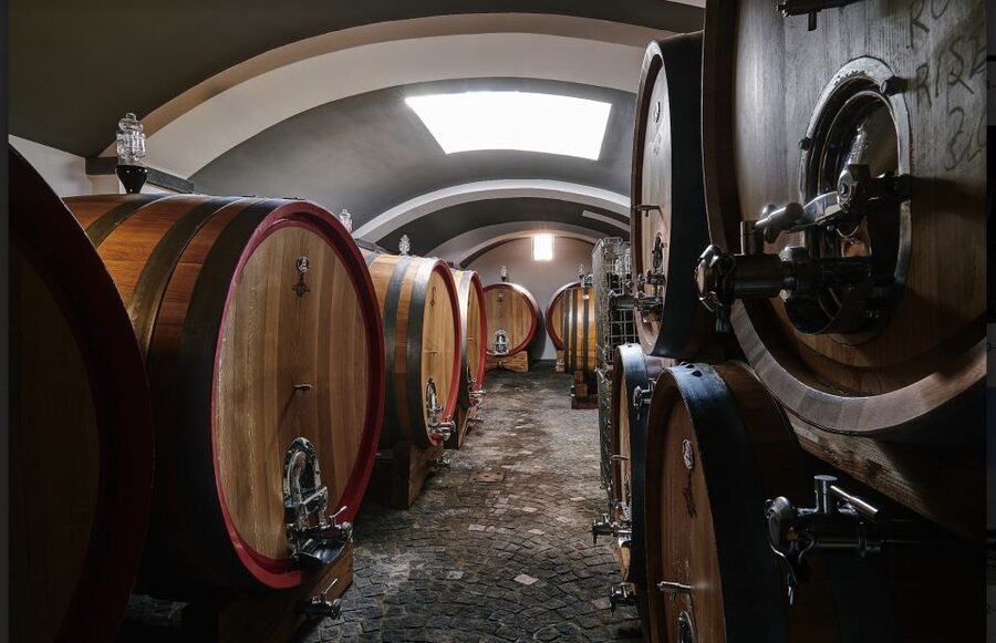 Mount Vesuvius: Vineyard Tour with Wine Tasting and Lunch - Should You Book This Mount Vesuvius Wine and Lunch Tour?