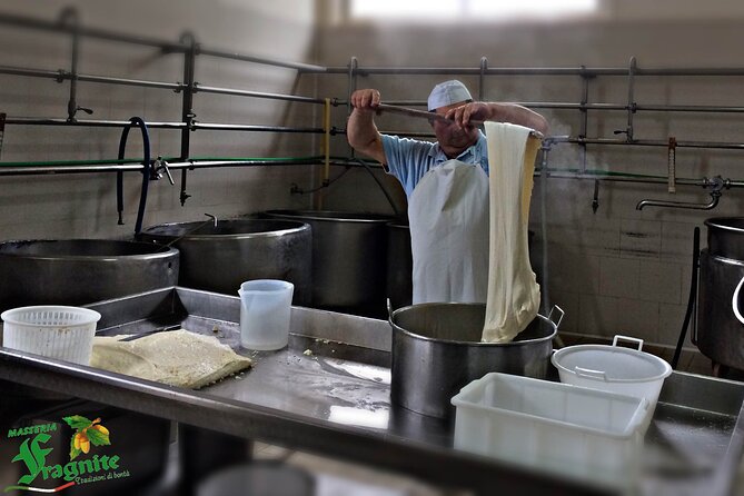Mozzarella Experience - Cheese Tour and tastings to Masseria Fragnite - A Working Masseria, Not a Cheese Counter Stop