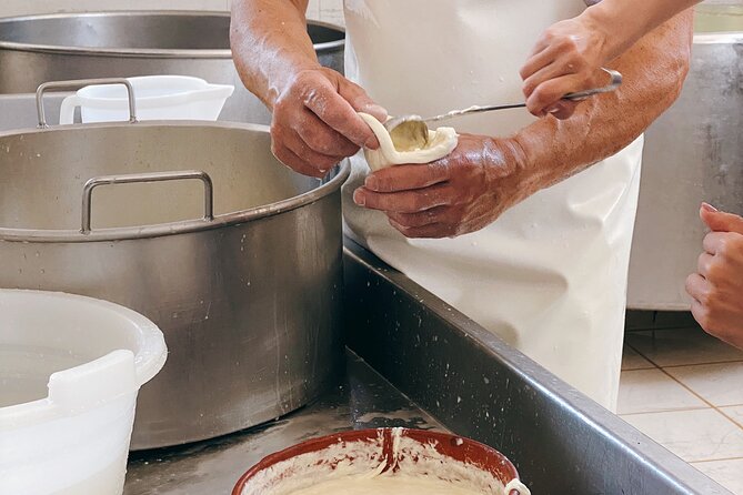 Mozzarella Experience - Cheese Tour and tastings to Masseria Fragnite - How Long It Takes and What Pace Feels Like