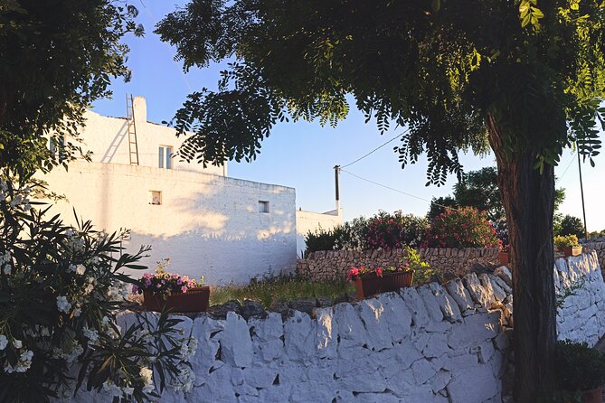 Mozzarella Experience - Cheese Tour and tastings to Masseria Fragnite - Milking Parlor to Dairy Tour: Cow Mozzarella, Burrata, Stracciatella