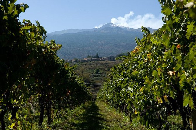 Mt Etna and Wine tasting tour from Catania - Enoteca Dell’Etna wine tasting, food that makes it worth sitting down