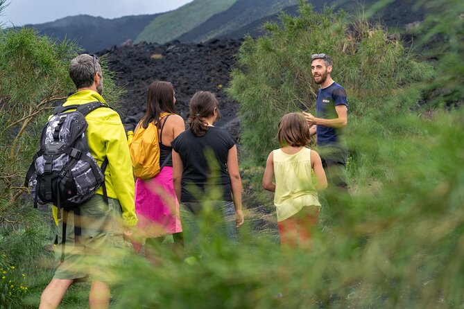 Mt. Etna nature and flavors half day Tour from Catania - Key moments at a glance