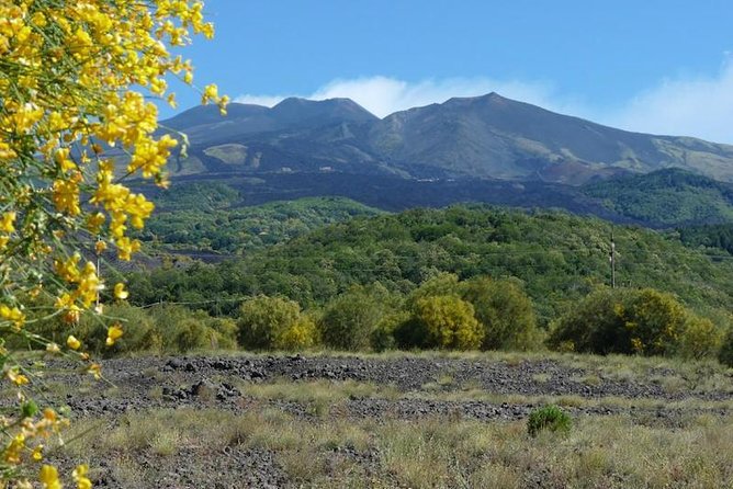 Mt. Etna nature and flavors half day Tour from Catania - Small Group Size, Guides, and How You Get Real Answers