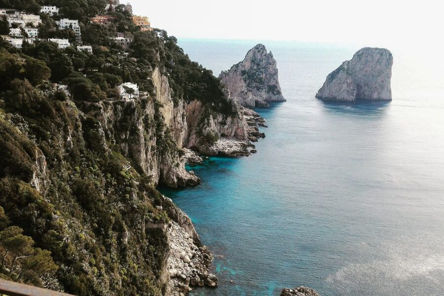 Naples: Day Trip to Pompeii and Capri - Pompeii And Capri In One 8-Hour Mix