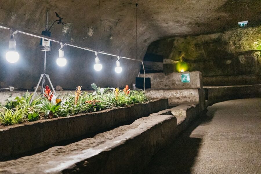 Naples: Naples Underground Entry Ticket and Guided Tour - Stairs, narrow tunnels, and the claustrophobia reality check