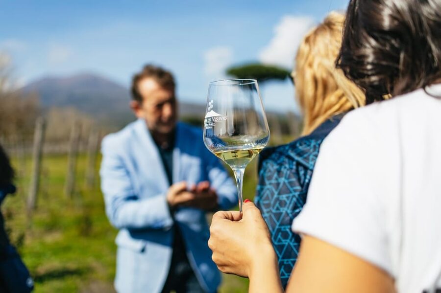Naples: Pompeii and Mt. Vesuvius with Lunch and Wine Tasting - Lunch and Wine at a Vineyard: Why the Food Stop Matters More Than It Sounds