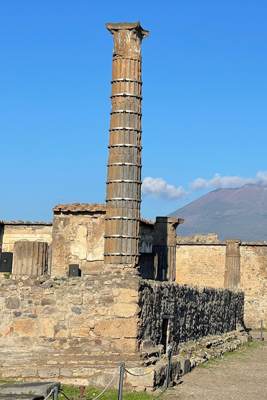 Naples: Pompeii Archaeology Park Tour & Skip-the-Line Entry - Should you book this Naples to Pompeii guided tour?