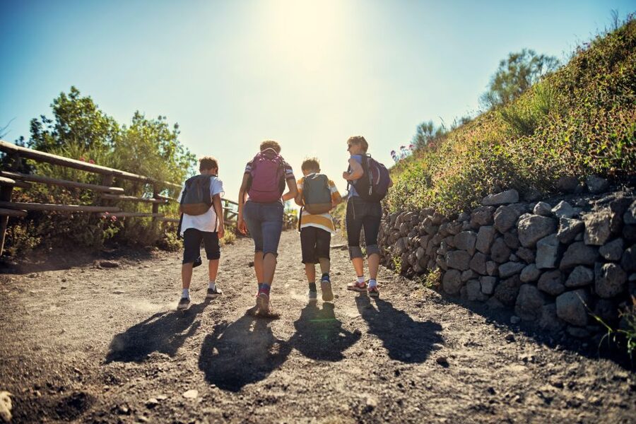 Naples: Pompeii & Mt. Vesuvius Day Trip with Tickets & Lunch - Should You Book This Pompeii and Vesuvius Day Trip?