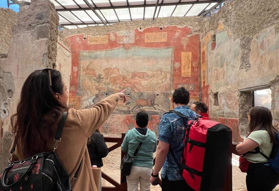 Naples: Pompeii & Mt. Vesuvius Day Trip with Tickets & Lunch - Pompeii by Guide: What You See in 2 Hours