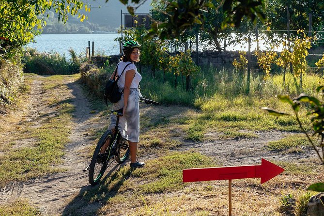 Naples Scenic E-Bike Ride to a Local Vineyard with Meal - The vineyard by Lake Averno: tasting local wine and a real, simple meal