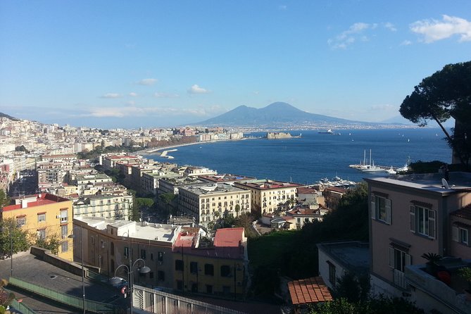 Naples Shore Excursion: Naples City and Pompeii Half Day Sightseeing Tour - Posillipo terrace views, the photo stop that helps everything click