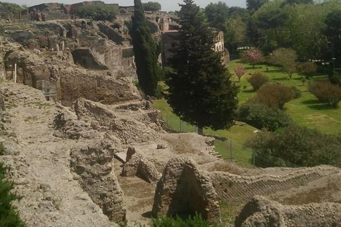 Naples Shore Excursion: Pompeii Half Day Trip from Naples - Timing and What You Will See (And Not See)