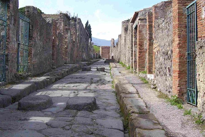 Naples Shore Excursion: Pompeii Half Day Trip from Naples - Getting From Your Ship: Naples Pickup That Can Be Tricky