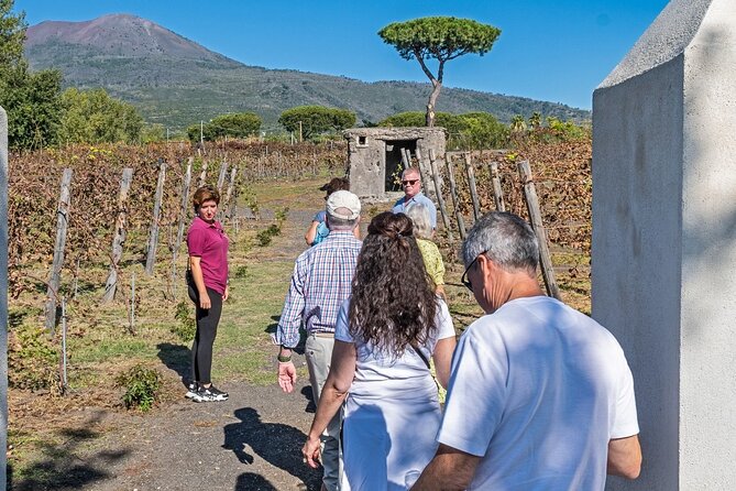 Naples: Tour of Mt Vesuvius and Pompeii w/ Lunch & Wine tasting - Price and Value: Is $147.06 Actually Fair?