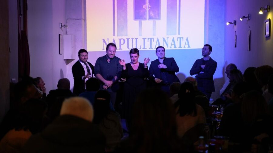Naples: Traditional Neapolitan Music Concert - Who This Concert Is Best For (and Who Might Not Love It)