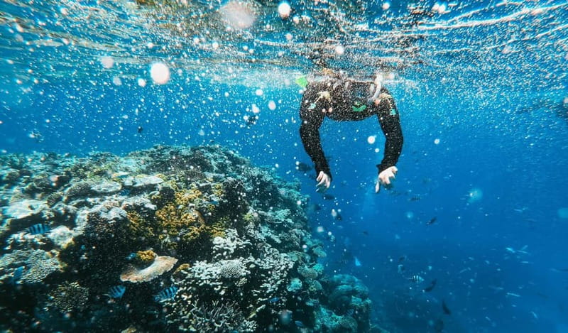 Naxos: Taormina Boat Tour with Snorkeling and Prosecco - Grotta dell’Amore and the Blue Grotto: caves as photo moments, not long hikes