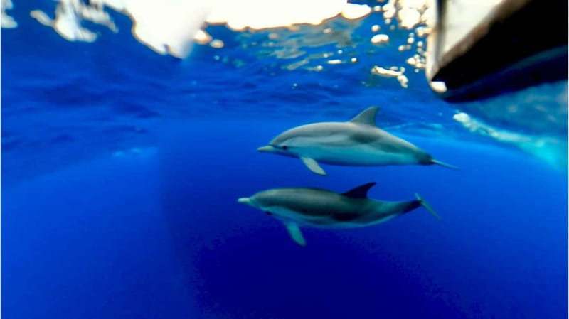 Naxos: Taormina Boat Tour with Snorkeling and Prosecco - Who this boat tour suits best (and who should skip)