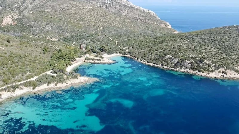 Olbia: Boat tour to watch Dolphins and snorkeling - Value: What You’re Really Getting for Your Half-Day