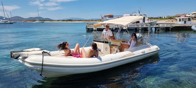 Olbia: Dolphin Watching & Swim and snorkel in Capo Figari - Key Highlights You Should Know Before You Go