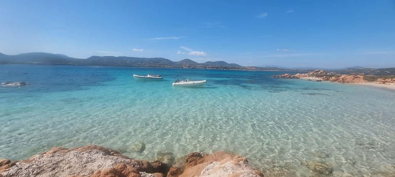 Olbia: Dolphin Watching & Swim and snorkel in Capo Figari - The Eco-Friendly Boat Ride: Quiet, Low Impact, and Built for Marine Life